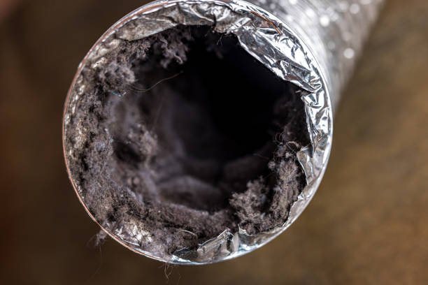  Fraser, CO Airduct Cleaning Pros